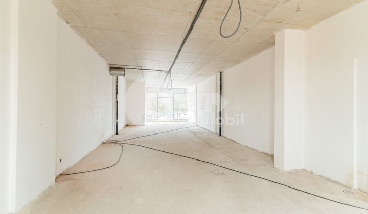 Комм. помещение, Ботаника, ДАЧИЯ