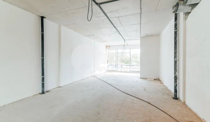 Комм. помещение, Ботаника, ДАЧИЯ