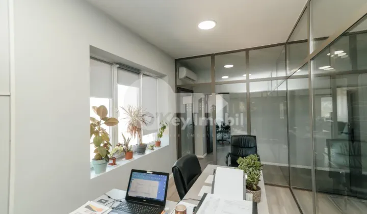 Офис, Ботаника, МУНЧЕШТЬ