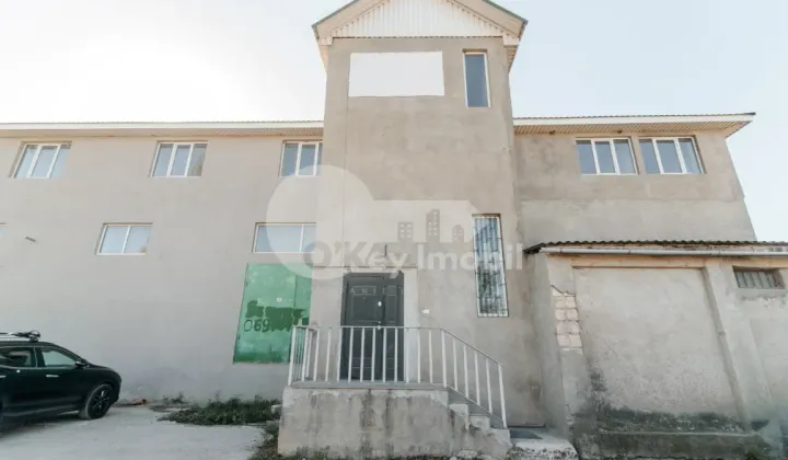 Офис, Ботаника, МУНЧЕШТЬ