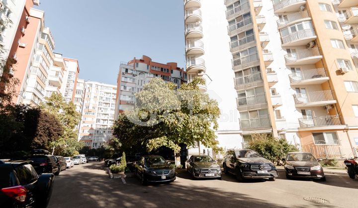 Офис, Центр, ВАЛЯ ТРАНДАФИРИЛОР