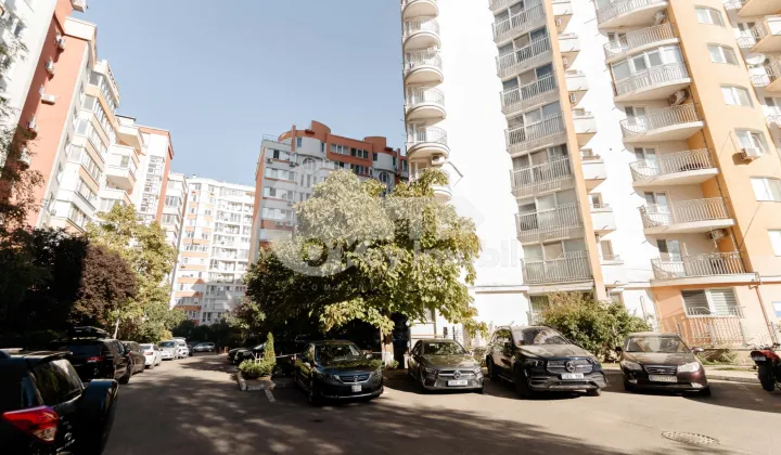 Офис, Центр, ВАЛЯ ТРАНДАФИРИЛОР