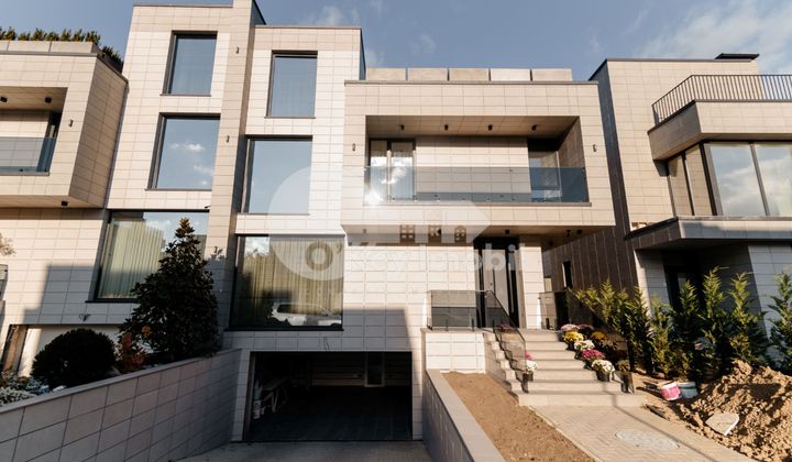 Дуплекс, Ботаника, ПЭШУНИЛОР