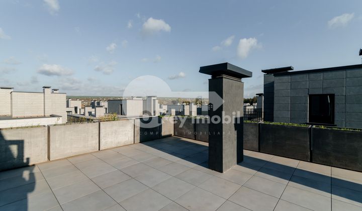 Дуплекс, Ботаника, ПЭШУНИЛОР