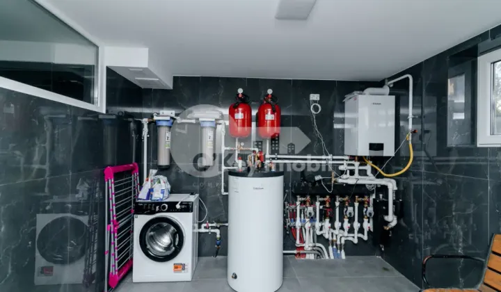 Дуплекс, Ботаника, ПЭШУНИЛОР