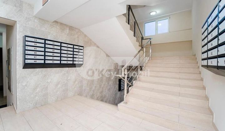 Квартира, Ботаника, БУРЕБИСТА