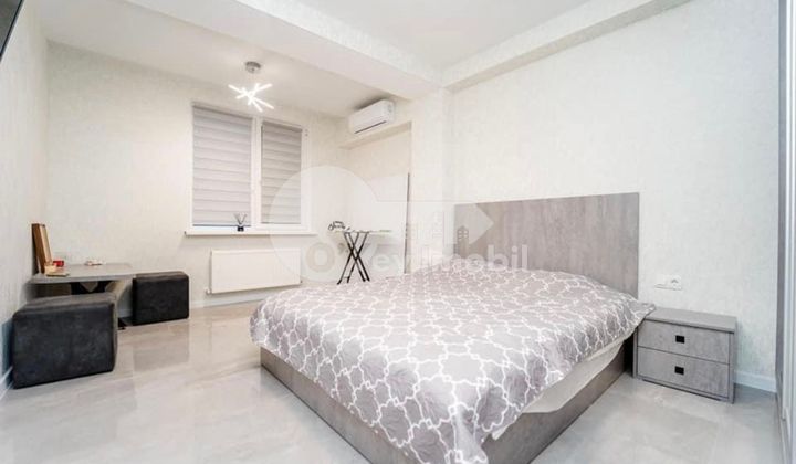 Квартира, Ботаника, БУРЕБИСТА