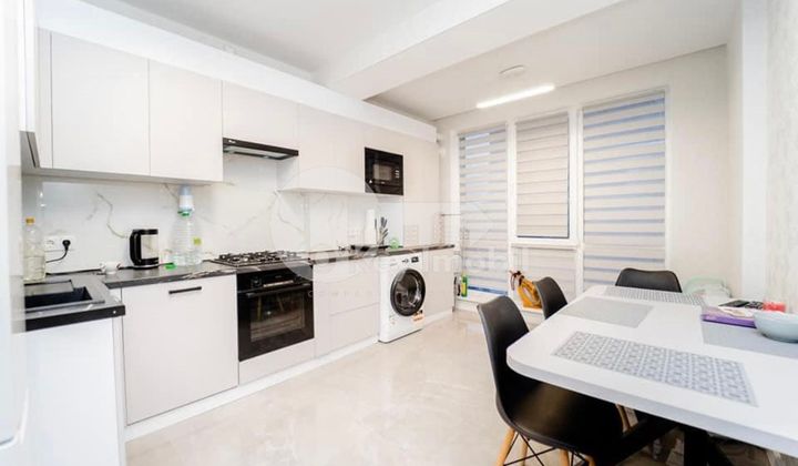 Квартира, Ботаника, БУРЕБИСТА