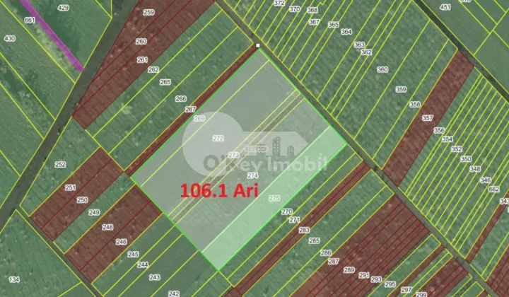 Земельный участок, ТРУШЕНЫ