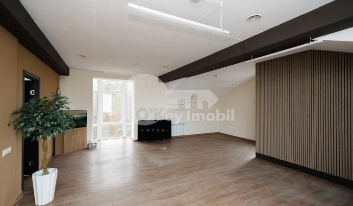 Комм. помещение, Центр, СФЫНТУЛ АНДРЕЙ