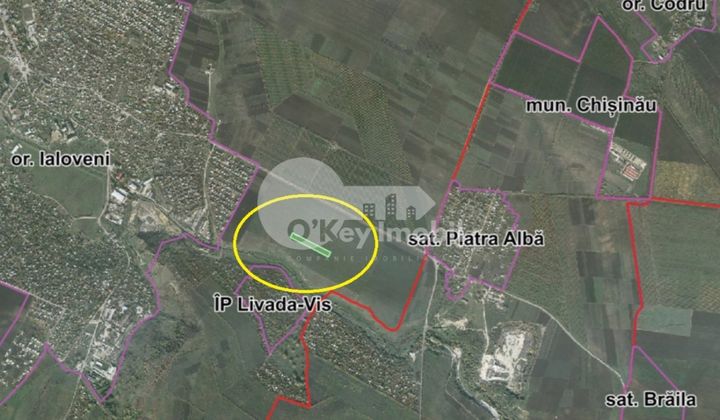 Земельный участок, ЯЛОВЕНЫ