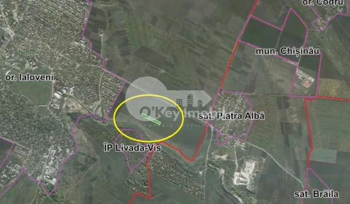 Земельный участок, ЯЛОВЕНЫ