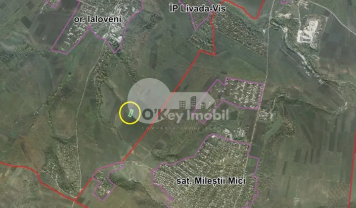 Земельный участок, ЯЛОВЕНЫ