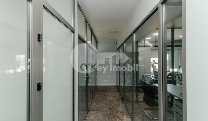 Spațiu comercial, Botanica, MUNCEȘTI