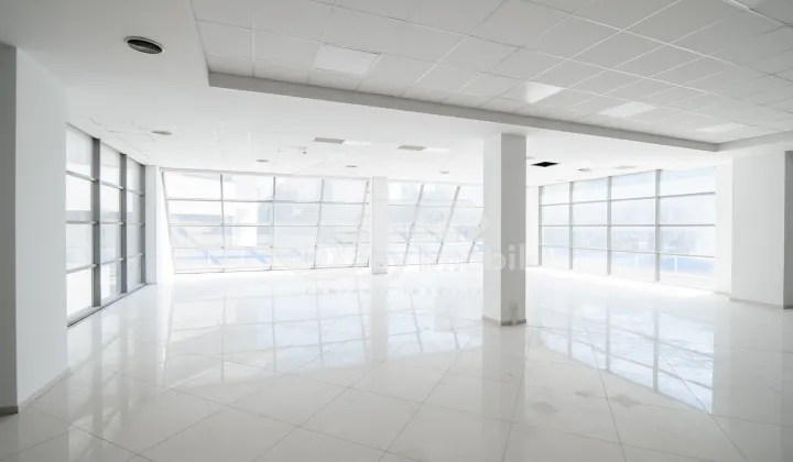 Комм. помещение, Ботаника, ДЕЧЕБАЛ