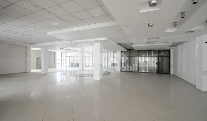 Комм. помещение, Ботаника, ДЕЧЕБАЛ