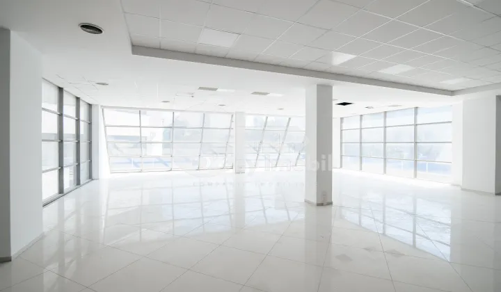 Комм. помещение, Ботаника, ДЕЧЕБАЛ