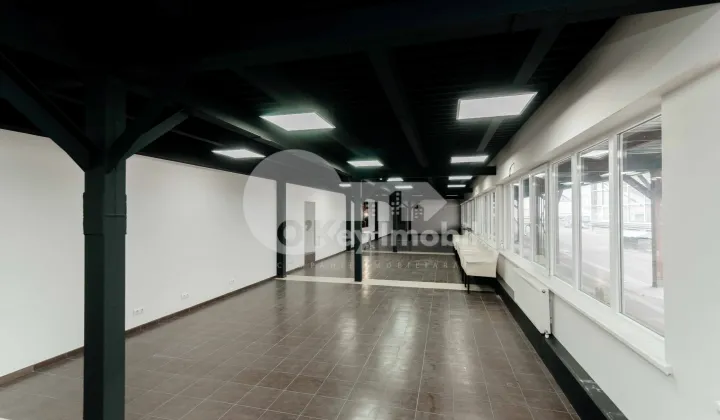 Комм. помещение, Ботаника, ДЕЧЕБАЛ