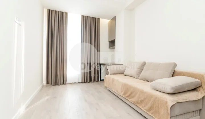 Квартира, Ботаника, ТУДОР СТРИШКЭ