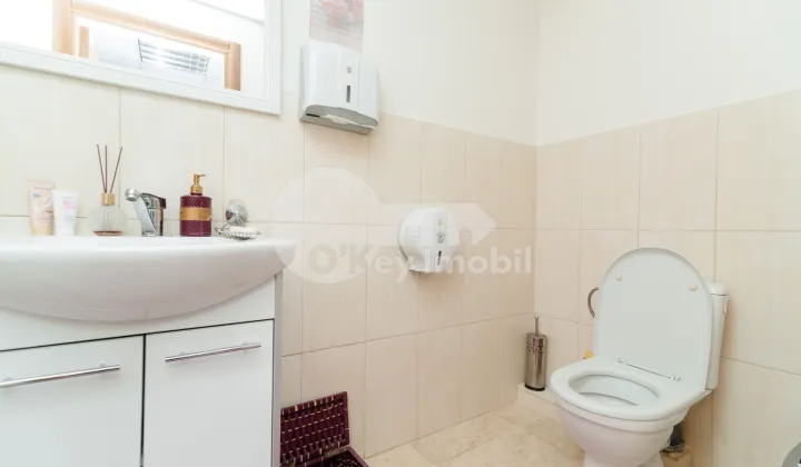 Spațiu comercial, Centru, CIUFLEA