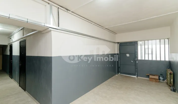 Квартира, Ботаника, ФРУМУШИКА