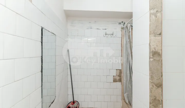 Квартира, Ботаника, ФРУМУШИКА