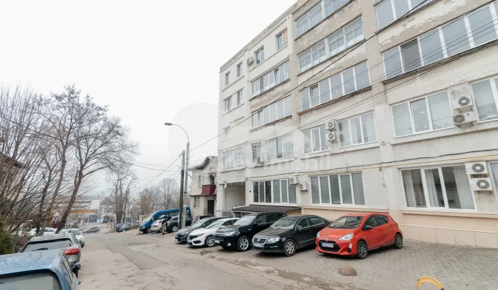 Квартира, Ботаника, ФРУМУШИКА