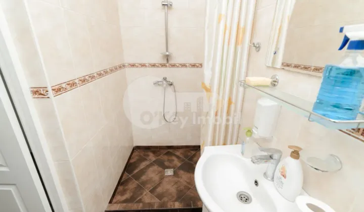 Oficiu, Centru, ISMAIL