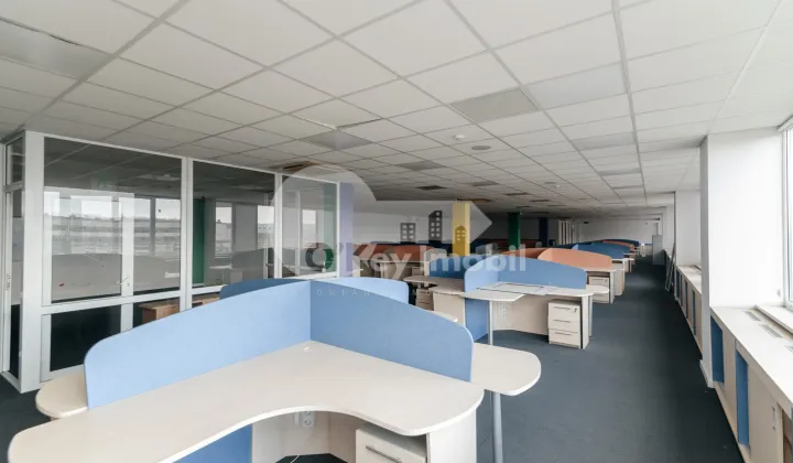 Офис, Буюканы, КАЛЯ ЕШИЛОР