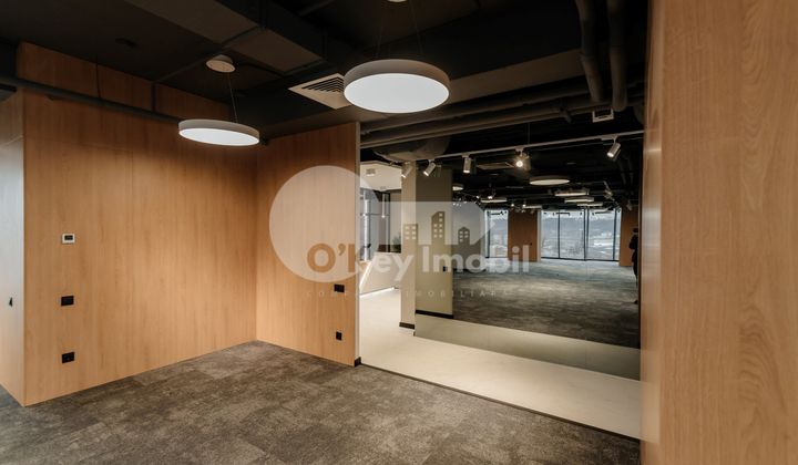 Oficiu, Centru, ȘTEFAN CEL MARE