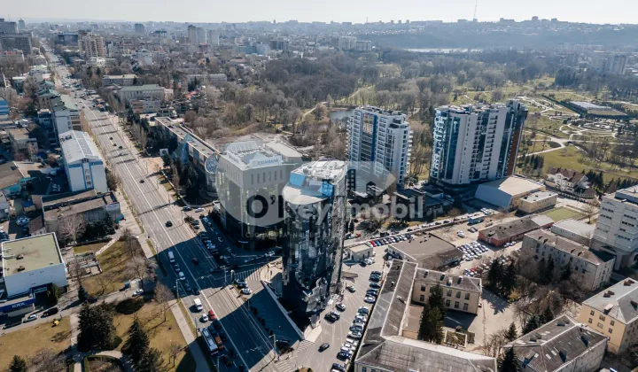 Oficiu, Centru, ȘTEFAN CEL MARE