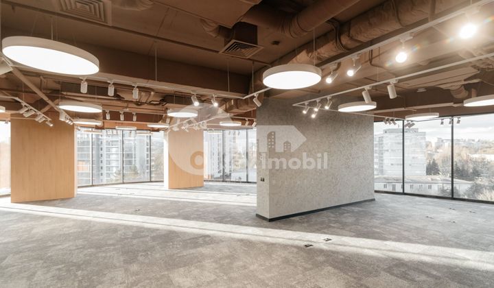 Oficiu, Centru, ȘTEFAN CEL MARE