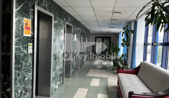 Oficiu, Centru, ȘTEFAN CEL MARE