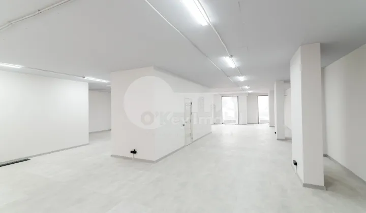 Комм. помещение, Центр, АВРАМ ЯНКУ