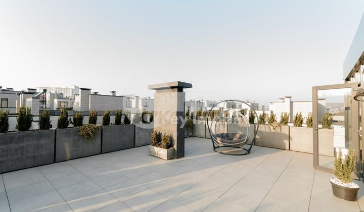 Дом, Ботаника, ПЭШУНИЛОР