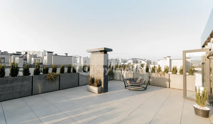 Дом, Ботаника, ПЭШУНИЛОР