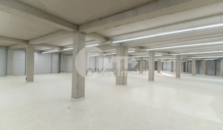 Комм. помещение, Дурлешты, ТУДОР ВЛАДИМИРЕСКУ