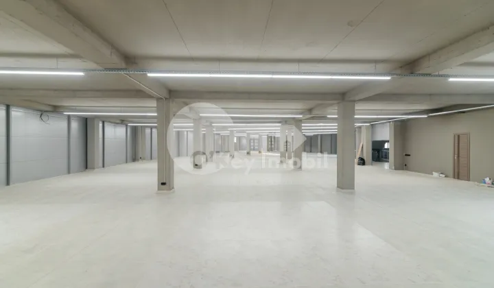 Комм. помещение, Дурлешты, ТУДОР ВЛАДИМИРЕСКУ