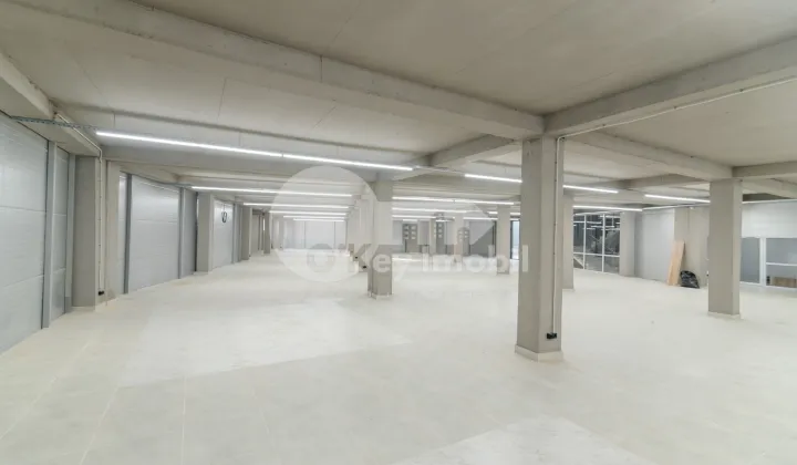 Комм. помещение, Дурлешты, ТУДОР ВЛАДИМИРЕСКУ