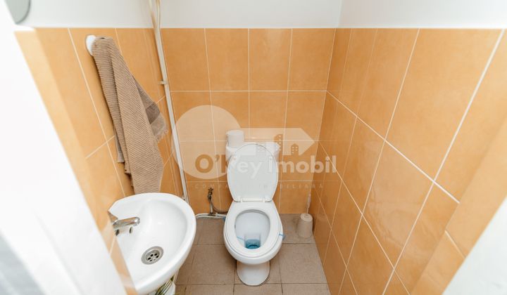 Дом, БОТАНИКА