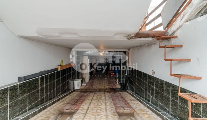 Дом, БОТАНИКА