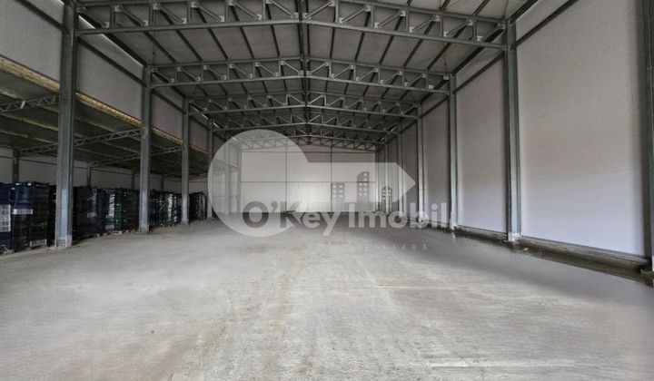 Земельный участок, ВАТРА