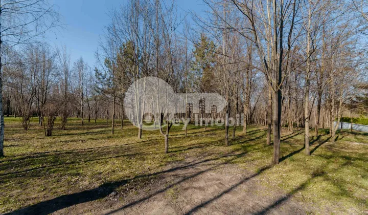 Земельный участок, КОЖУШНА