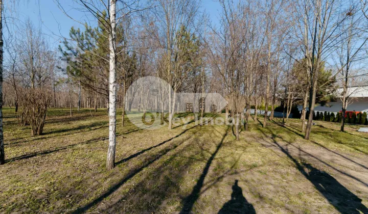 Земельный участок, КОЖУШНА