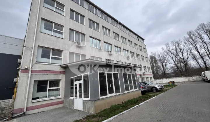 Офис, Буюканы, КОЛУМНА