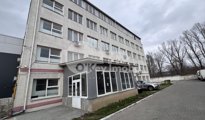 Oficiu, Buiucani, COLUMNA