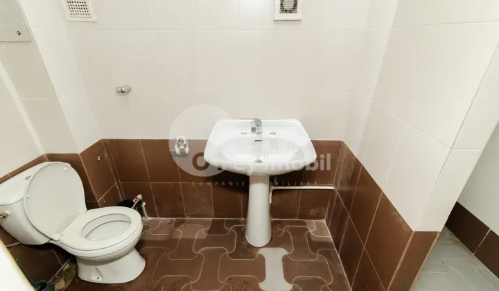 Квартира, Ботаника, САРМИЗЕДЖЕТУСА