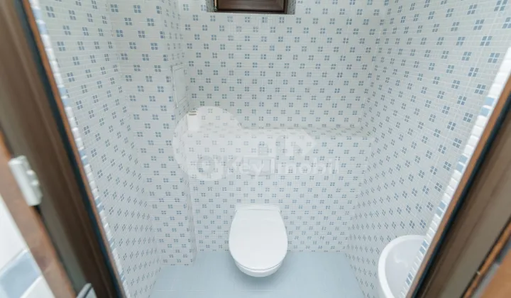 Дом, Чеканы, ДЖИНТА ЛАТИНЭ