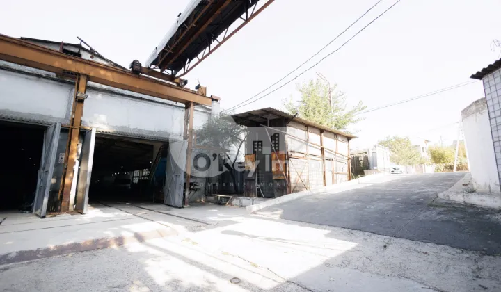 Земельный участок, Чеканы, УЗИНЕЛОР