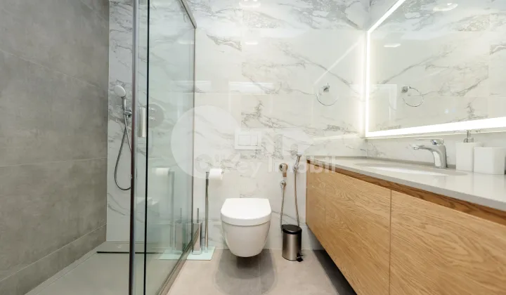 Apartament, Centru, PETRU RAREȘ